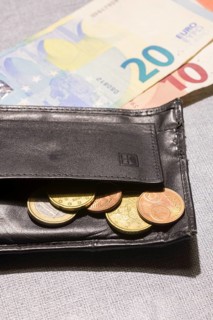 Wallet with coins and notes, euro, Germany, Europe