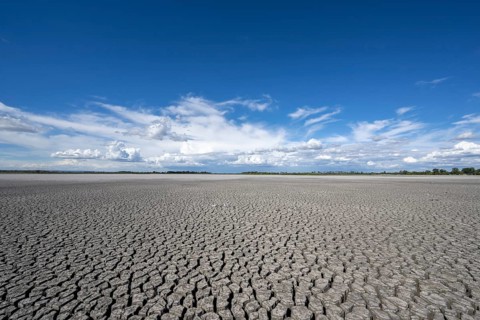 Heavily dried-up Zicksee, Lake Neusiedl-Seewinkel National Park, Burgenland, Austria, Europe