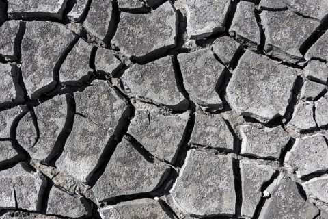 Cracked earth, heavily dried out Zicksee, Lake Neusiedl-Seewinkel National Park, Burgenland,