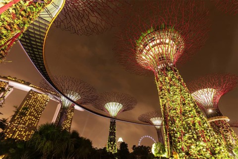 SINGAPORE, DECEMBER 31, 2013: Night view of Supertree Grove at Gardens by the Bay. Futuristic park