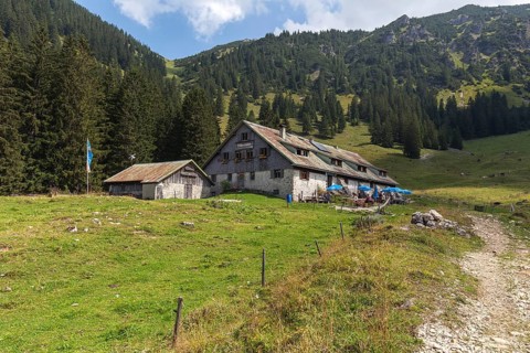 Willersalpe, near Hinterstein, Bad Hindelang, Oberallgäu, Allgäu, Bavaria, Germany, Europe