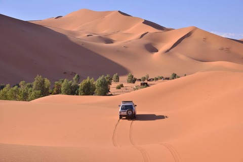 Car driving in the dunes, Great Sand Sea, Sahara, Merzouga, Meknès-Tafilalet region, Morocco,