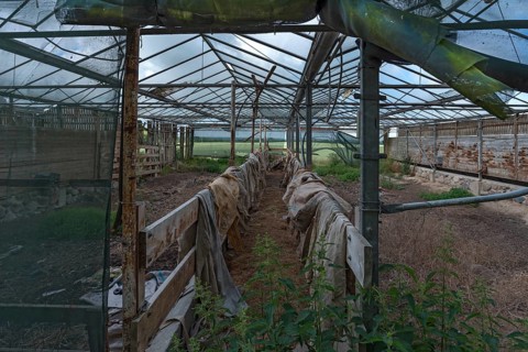 Abandoned goat shed, Mecklenburg-Western Pomerania, Germany, Europe