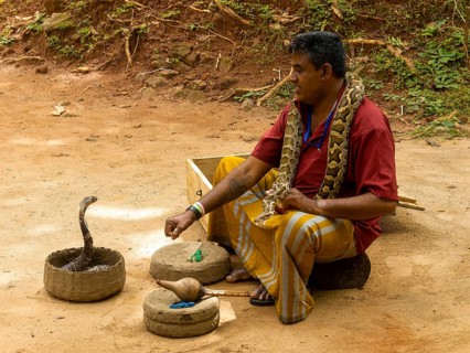 Snake charmer with cobra in basket and constrictor snake around neck, Sri Lanka, Asia