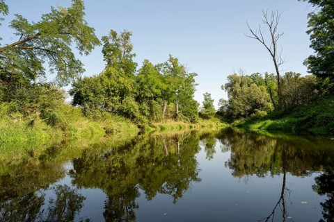 River landscape of the Thaya in late summer, Czech Republic, Europe