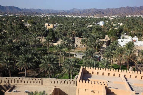 View of the city and the palm gardens of Nizwa from the fort. Nizwa is the centre of the Omani