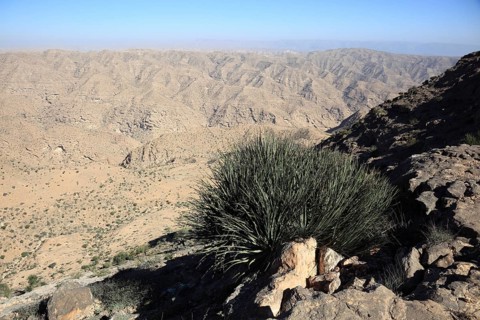 Landscape of the Southern Dhofar, Jabal al-Qamar, Oman, Asia
