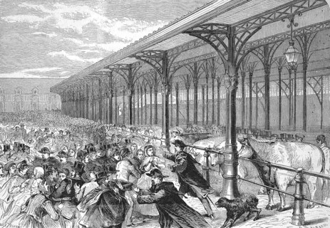 Agriculture Exhibition, Fat Ox Competition, at the Marche de la Vilette, 1869, France, Historic,