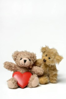 Two teddy bears and red heart, teddy
