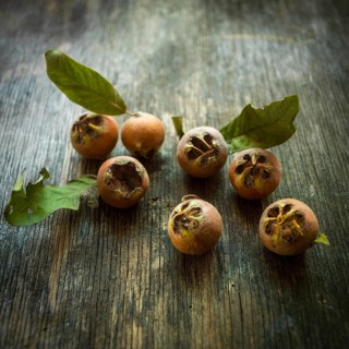 Medlars on a wooden background, studio shot, France, Europe