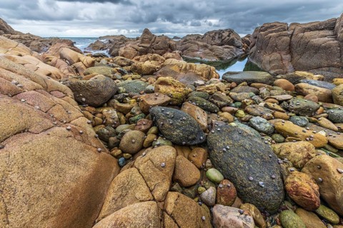 Rocks covered with shells on the Atlantic coast. Sables d'Olonne, Vendee France