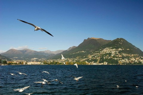 Lake Lugano, Lago di, Monte Bre Mountain, Lugano, Ticino, Switzerland, Europe
