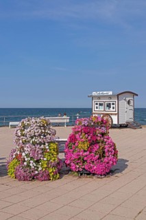Ticket carts, flowers, beach promenade, Kühlungsborn, Mecklenburg-Western Pomerania, Germany,