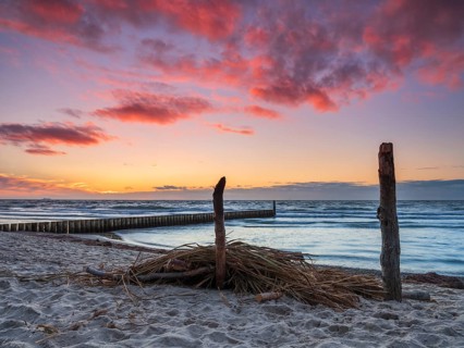 Sunset on the beach of the Baltic Sea with groyne, driftwood and washed-up reeds, Graal-Müritz,