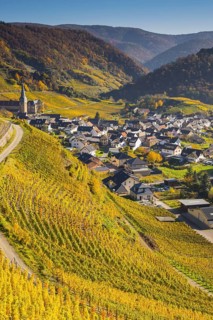 Vineyards in autumn, Mayschoß with parish church, red wine growing region Ahrtal, red wine of the