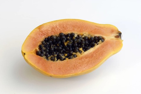 Pawpaw (Carica papaya), melon tree family, Caricaceae