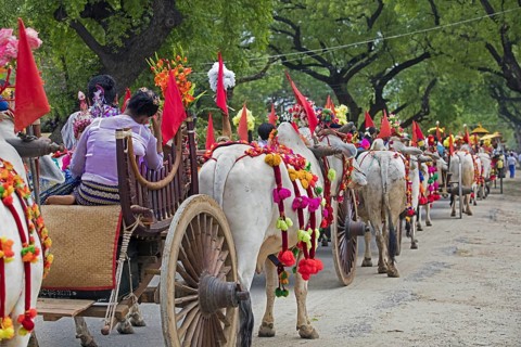Traditional parade for Burmese children becoming a novice monks in the city Bagan, Pagan, Mandalay