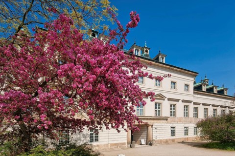(© Sylvio Dittrich) (01772156417) Pillnitz used to be a suburb (incorporated in 1950) and is now a