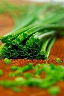 Chive (Allium schoenoprasum), cut