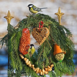 Great tits (Parus major) eating seeds, fat and peanuts from the bird feeder for garden birds in