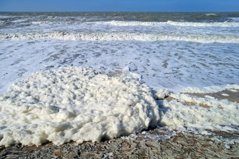 Sea spray, sea foam, ocean foam, beach foam produced in stormy conditions and after an algal bloom
