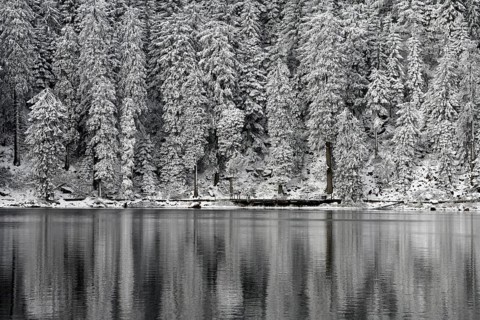 Winter landscape at Mummelsee, reflection of the forest, near Seebach, Black Forest, Ortenaukreis,