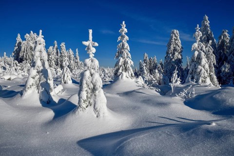 Snowy winter landscape near the Vogelskopf, near Baiersbronn, county Freudenstadt, Black Forest,