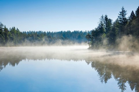 Pines and spruces line the shore of the mirror-smooth Étang de la Gruère moorland lake covered in