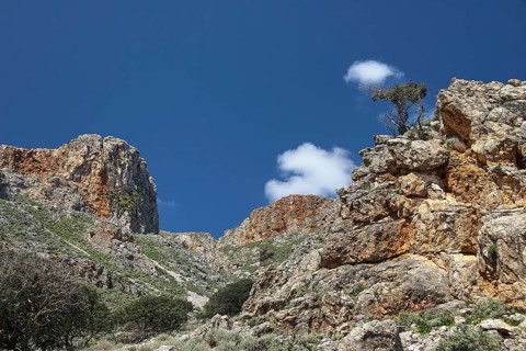 Morning light, bizarre rock formation, gnarled tree, deep blue sky, single white clouds, Gramvoussa