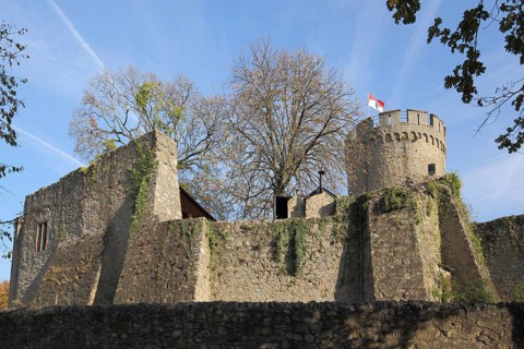 Auerbach Castle Ruin near Bensheim, Bergstrasse, Hesse, Germany, Europe