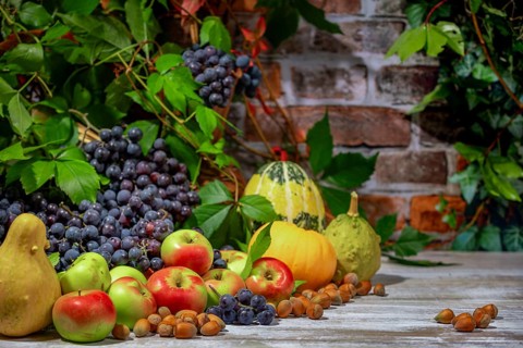 Autumnal Still Life with Blue Burgundy Grapes, Apples, Pumpkins and Hazelnuts in Front of a Brick