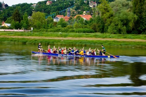 Dragon boat training on the Elbe