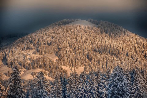 Winter, mountain, morning mood, sunrise, light, Christmas time, conifer, nature, hiking, Heiglkopf,