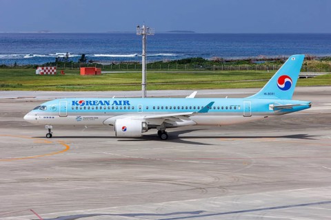 A Korean Air Airbus A220-300 aircraft with registration number HL8091 at Okinawa Airport (OKA) in