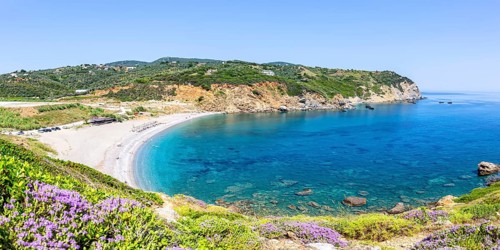 Xanemos beach holiday by the sea on the Mediterranean island of Panorama Skiathos, Greece, Europe