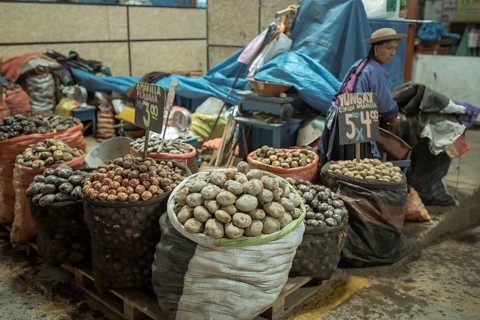Potato variety, Mercado Mayorista, Huancayo, Peru, South America