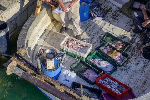 Selling fish directly from the boat, Vela Luka, Korcula, Dubrovnik-Neretva County, Croatia, Europe