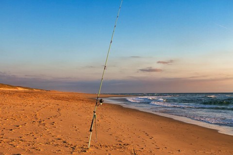 Surf fishing, fishing rod stands on the beach, Soustons Plage, evening light, Silver Coast, Côte