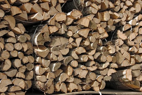 Firewood, split logs, bundled for sale