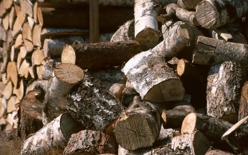 Firewood, logs, sawn into pieces, birch wood
