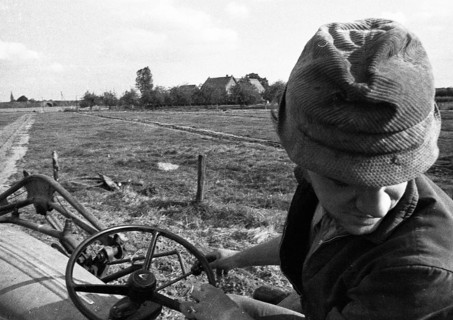 Farmers working in the fields in Muensterland on 10.09.1971, Germany, Europe