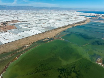 Masses of shimmering plastic greenhouses at the coast of El Ejido, in the foreground the lagoon
