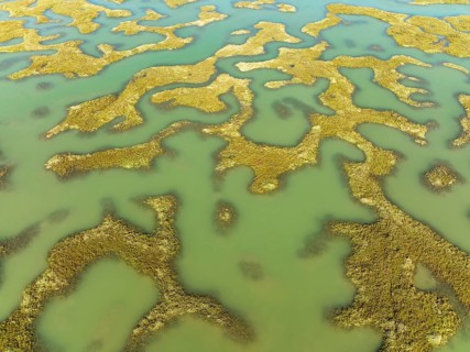 Network of channels and streams at low tide, in the marshland of the Bahía de Cádiz, aerial view,