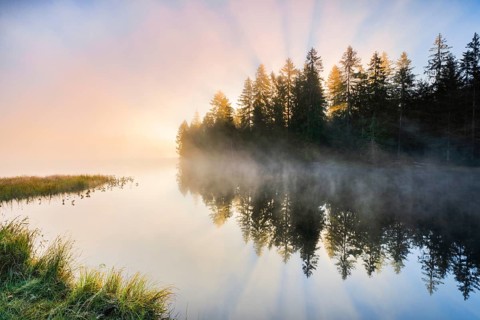Sunrise over the mirror-smooth mire lake Étang de la Gruère in the canton of Jura, Switzerland,