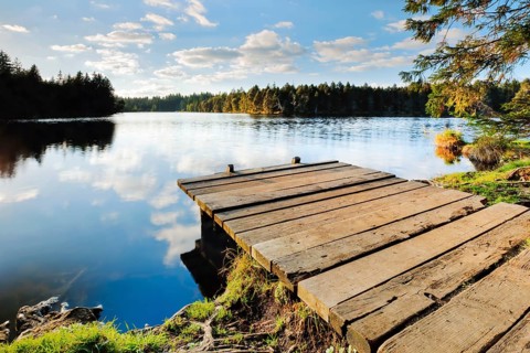 Bathing jetty on the shore of the mire lake Étang de la Gruère in the canton of Jura, Switzerland,