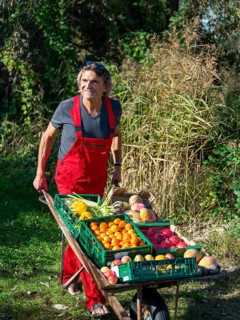 Man in red work trousers pushes wheelbarrow full of different fruits on green path, healthy eating,