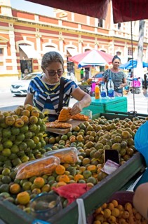 Sales stand for Tucumã-do-Amazonas or Tucumã, Manaus, State of Amazonas, Brazil, South America