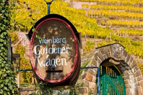 Goldener Wagen vineyard