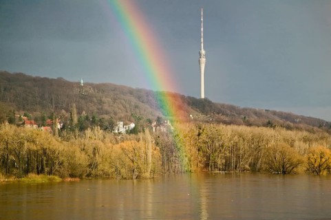 Elbe view from blauen Wunder