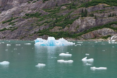 Pieces of ice and fronts of a glacier calving into the sea, Tracy Arm Fiord, Tongass National